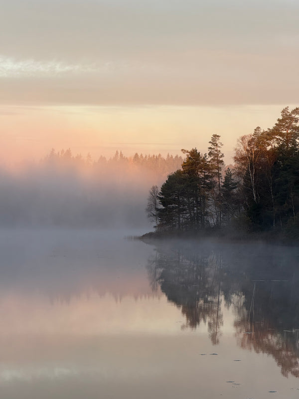 Retreat i den svenske natur med Carla Mickelborg & Jesper Westmark 26-28 april 2026