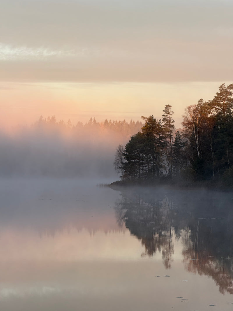 Retreat i den svenske natur med Carla Mickelborg & Jesper Westmark 26-28 april 2026