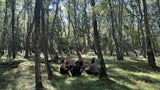 Sanseligt retreat // 26. februar - 1. marts 2026 // Ditte Julie & Carla Mickelborg
