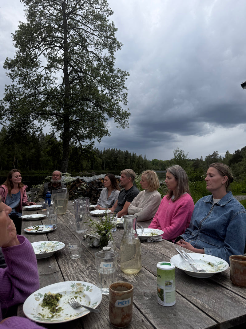 Retreat i den svenske natur med Carla Mickelborg & Jesper Westmark 12-14 oktober 2025