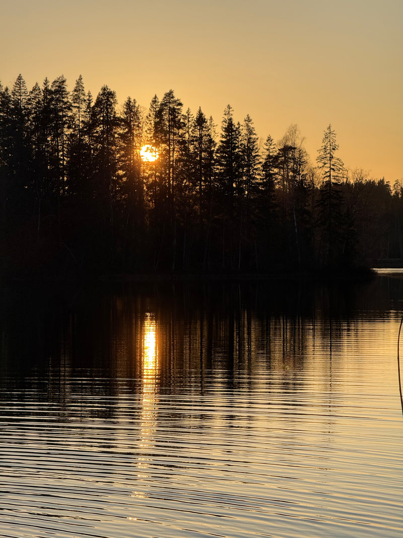 Retreat i den svenske natur med Carla Mickelborg & Jesper Westmark 12-14 oktober 2025