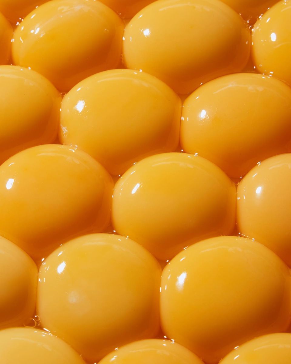 Proteinrige opskrifter